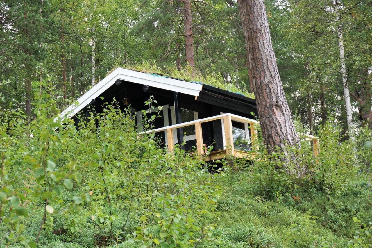 Birk Bed & Birds Bed & Breakfast Svanvik Екстериор снимка
