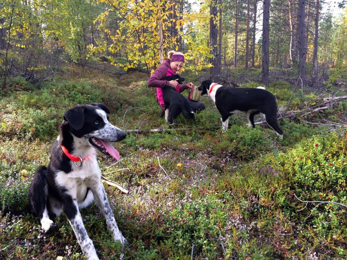 Birk Bed & Birds Bed & Breakfast Svanvik Екстериор снимка