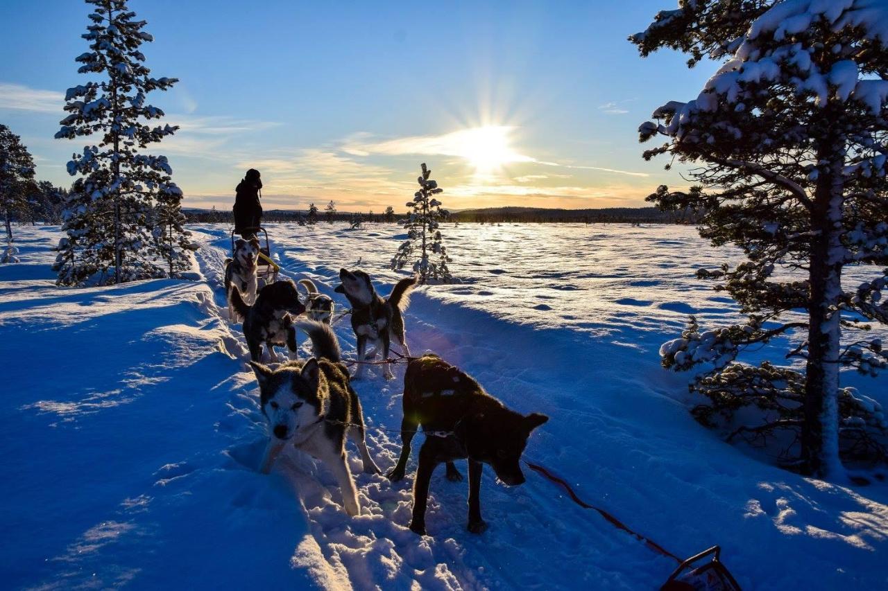 Birk Bed & Birds Bed & Breakfast Svanvik Екстериор снимка
