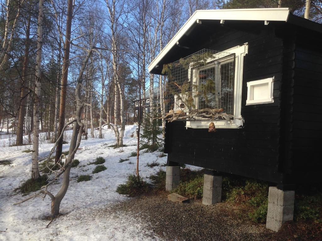 Birk Bed & Birds Bed & Breakfast Svanvik Екстериор снимка