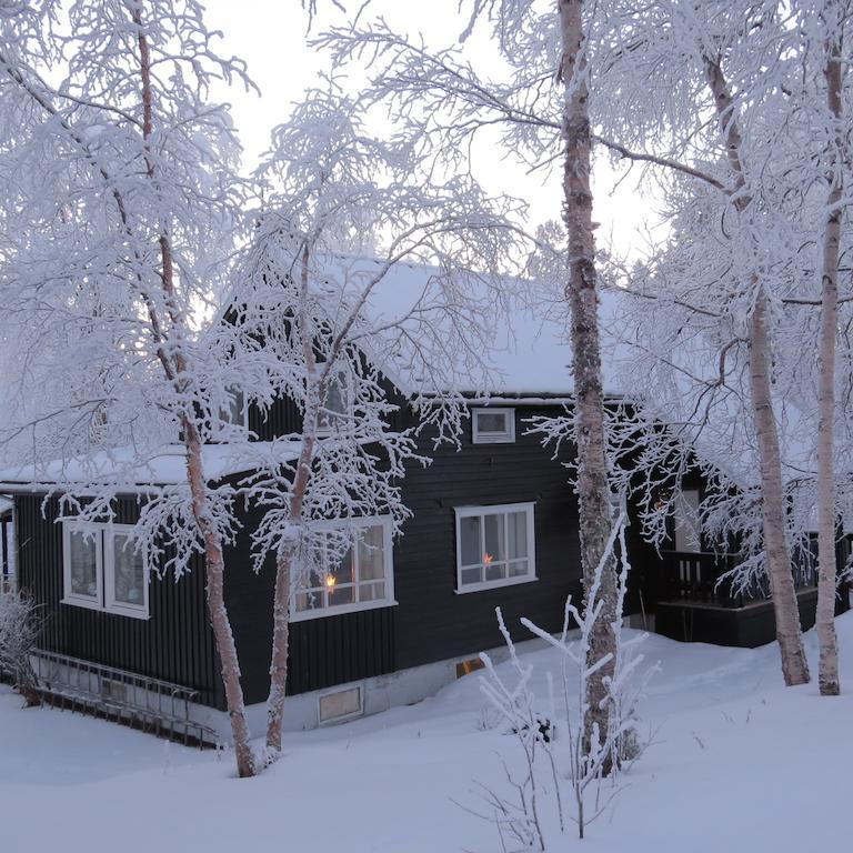 Birk Bed & Birds Bed & Breakfast Svanvik Екстериор снимка