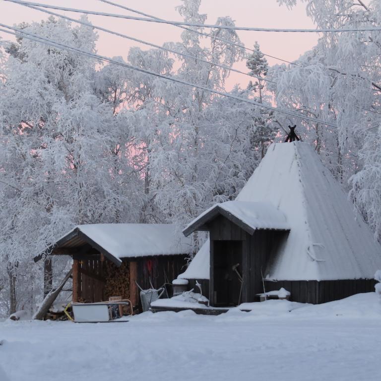Birk Bed & Birds Bed & Breakfast Svanvik Екстериор снимка