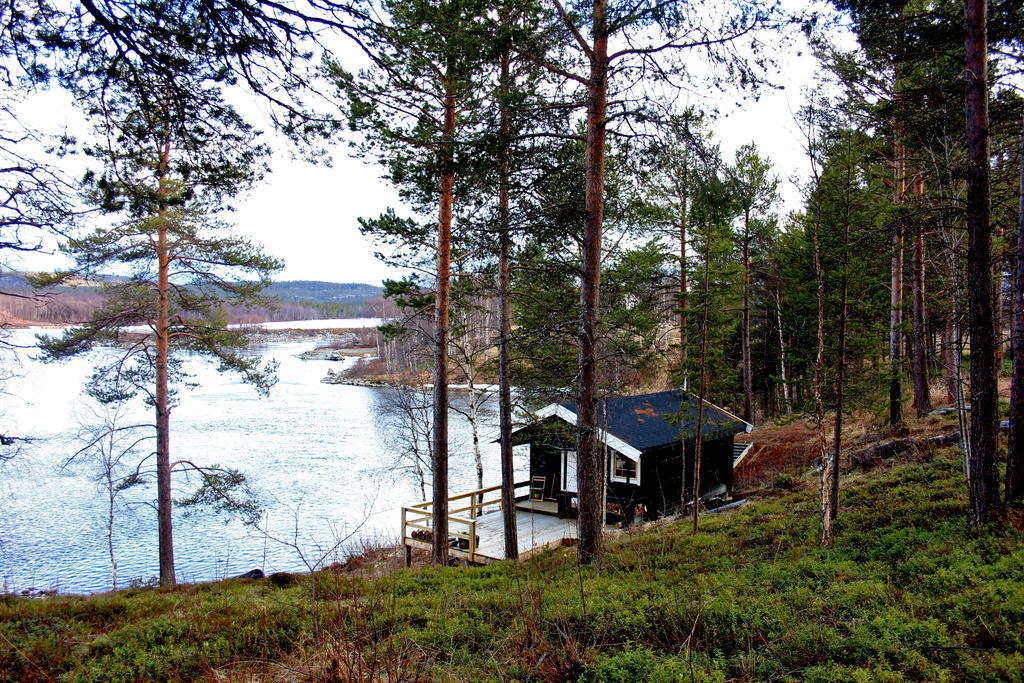 Birk Bed & Birds Bed & Breakfast Svanvik Екстериор снимка