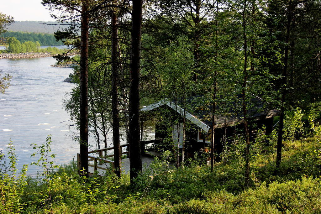 Birk Bed & Birds Bed & Breakfast Svanvik Екстериор снимка