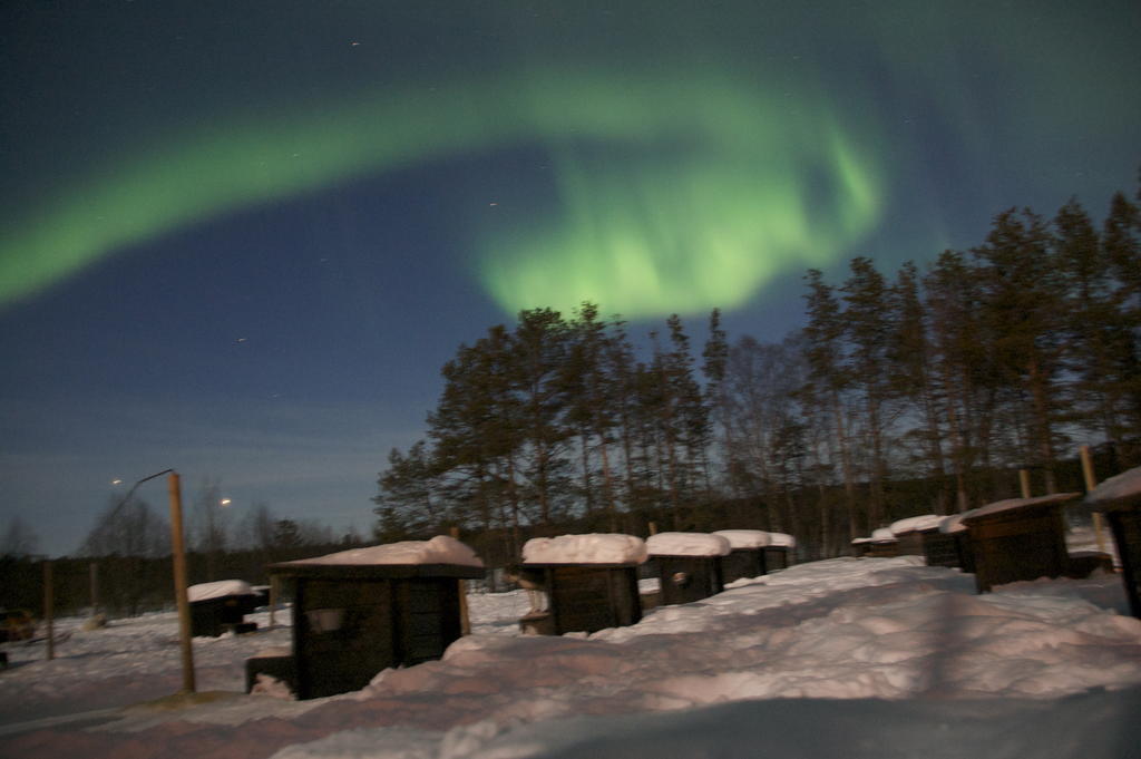 Birk Bed & Birds Bed & Breakfast Svanvik Екстериор снимка
